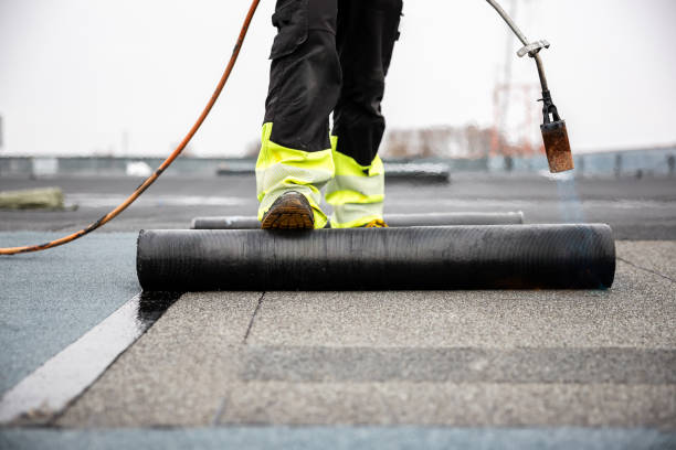 Best Steel Roofing  in Groveland, FL