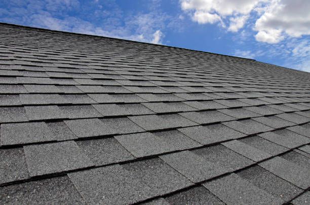 Best Skylight Installation and Repair  in Groveland, FL